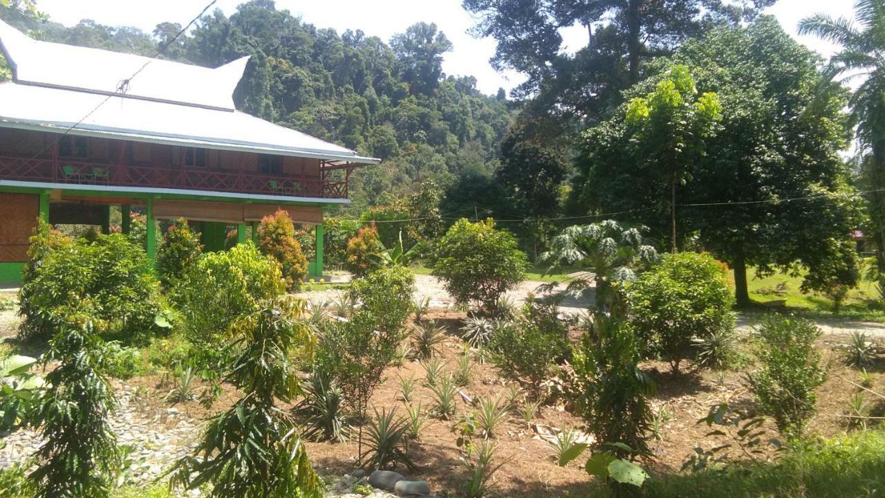 Green Forest Tangkahan Exterior photo