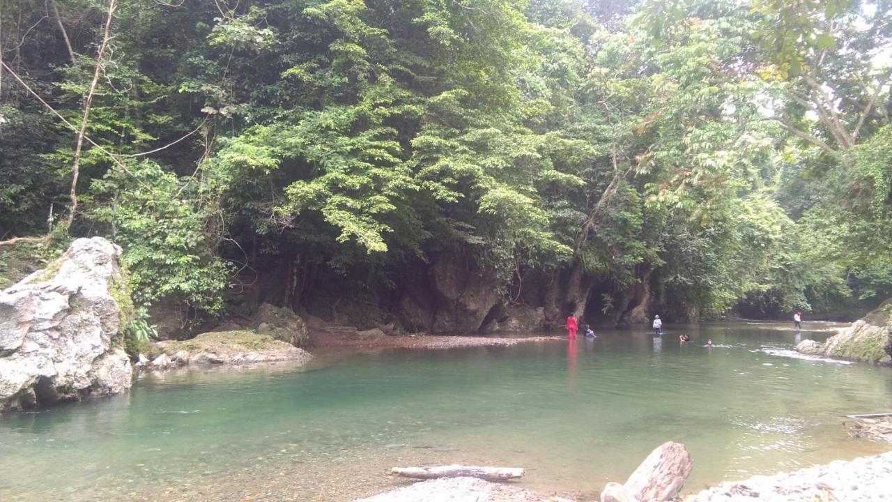 Green Forest Tangkahan Exterior photo